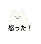 ねこが喋った！（個別スタンプ：14）
