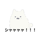 ねこが喋った！（個別スタンプ：15）