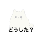ねこが喋った！（個別スタンプ：16）