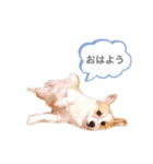 なぎちゃん頑張ってる2（個別スタンプ：1）