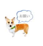 なぎちゃん頑張ってる2（個別スタンプ：2）