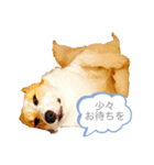 なぎちゃん頑張ってる2（個別スタンプ：4）
