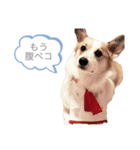 なぎちゃん頑張ってる2（個別スタンプ：6）
