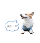 なぎちゃん頑張ってる2（個別スタンプ：9）
