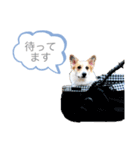 なぎちゃん頑張ってる2（個別スタンプ：10）