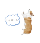 なぎちゃん頑張ってる2（個別スタンプ：12）
