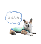 なぎちゃん頑張ってる2（個別スタンプ：15）