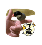 キューちゃんとしょうた（個別スタンプ：5）