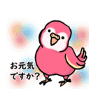 笑うインコ（個別スタンプ：1）