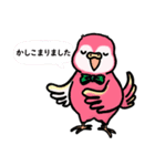 笑うインコ（個別スタンプ：9）