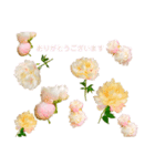 優雅な芍薬メッセージ（個別スタンプ：4）