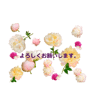 優雅な芍薬メッセージ（個別スタンプ：7）