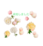 優雅な芍薬メッセージ（個別スタンプ：8）