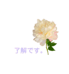 優雅な芍薬メッセージ（個別スタンプ：11）