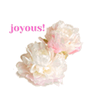優雅な芍薬メッセージ（個別スタンプ：18）