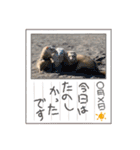 みるさんしんば・らいるるりりー（個別スタンプ：5）