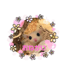 みるさんしんば・らいるるりりー（個別スタンプ：8）