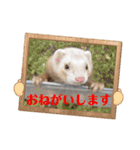 みるさんしんば・らいるるりりー（個別スタンプ：11）