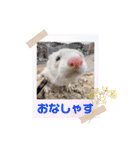 みるさんしんば・らいるるりりー（個別スタンプ：12）