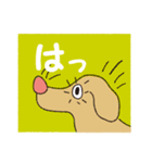 横顔犬 (よこがお けん)（個別スタンプ：10）