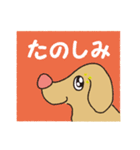 横顔犬 (よこがお けん)（個別スタンプ：12）