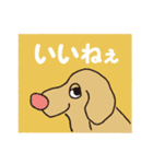 横顔犬 (よこがお けん)（個別スタンプ：15）