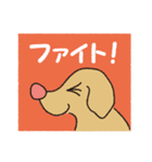 横顔犬 (よこがお けん)（個別スタンプ：16）