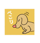 横顔犬 (よこがお けん)（個別スタンプ：19）