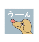 横顔犬 (よこがお けん)（個別スタンプ：22）