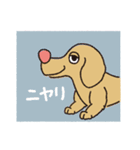 横顔犬 (よこがお けん)（個別スタンプ：26）