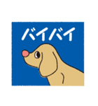 横顔犬 (よこがお けん)（個別スタンプ：37）