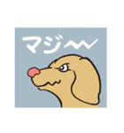 横顔犬 (よこがお けん)（個別スタンプ：38）