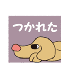 横顔犬 (よこがお けん)（個別スタンプ：40）