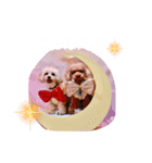 くぅ、パール、ふくのほのぼのスタンプ（個別スタンプ：3）