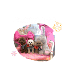 くぅ、パール、ふくのほのぼのスタンプ（個別スタンプ：4）