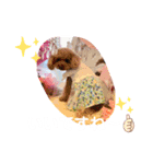 くぅ、パール、ふくのほのぼのスタンプ（個別スタンプ：9）