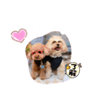 くぅ、パール、ふくのほのぼのスタンプ（個別スタンプ：14）