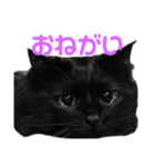 きんじょうち（個別スタンプ：1）