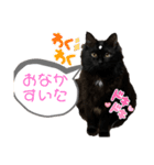 きんじょうち（個別スタンプ：8）