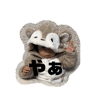 ふーたんその4（個別スタンプ：38）