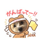 アメショ♡スコ♡マルプー  part3（個別スタンプ：15）