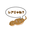 伝説の生き物 byすっぺい（個別スタンプ：11）