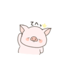 ぶたの使えるスタンプ（個別スタンプ：30）