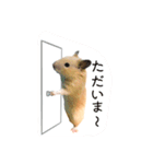 ボク、クマたろう（個別スタンプ：1）