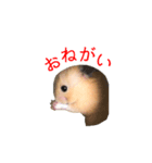 ボク、クマたろう（個別スタンプ：2）