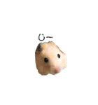 ボク、クマたろう（個別スタンプ：3）