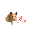 ボク、クマたろう（個別スタンプ：4）