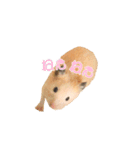 ボク、クマたろう（個別スタンプ：6）