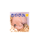 ボク、クマたろう（個別スタンプ：7）