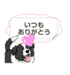 ボーダーコリー(BK＆W) - msg 1（個別スタンプ：5）